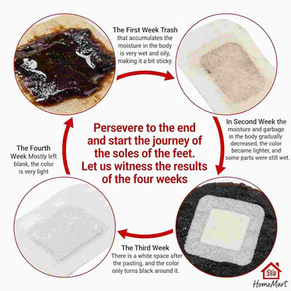 Veloura Natural Detox Foot Pads (Buy 1 Get 1 Free)